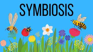 What is symbiosis in Biology Mutualism  Commensalism  Parasitism [upl. by Aileon]