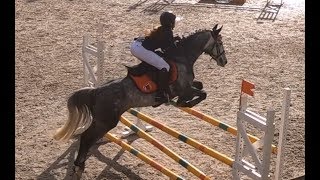 CONCOURS SAUT DOBSTACLES AU CERUC 11 MARS 2018 REIMS [upl. by Darcy]