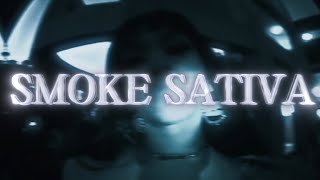 Weez  Smoke Sativa official Lyrics Video [upl. by Kirst]