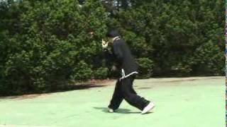 Xingyiquan Xingyi Quan Hsing I Chuan Hsing Yi Chuan Form and Applications 形意拳套路及應用 [upl. by Donnenfeld287]