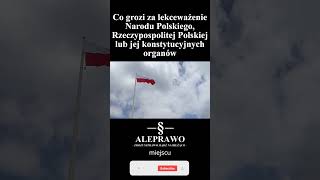 Co grozi za lekceważenie Narodu Polskiego Rzeczypospolitej Polskiej lub jej konstytucyjnych organów [upl. by Anivahs]