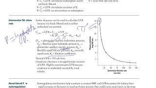 12 Glomerular Filtration Rate  USMLE STEP 1 [upl. by Hedgcock]