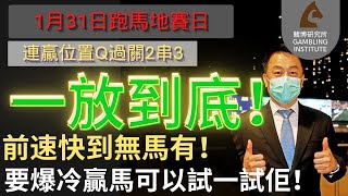 【賽馬貼士】1月31日 連贏位置Q過關2串3｜一放到底！｜前速快到無馬有！要爆冷贏馬可以試一試佢！ [upl. by O'Shee]