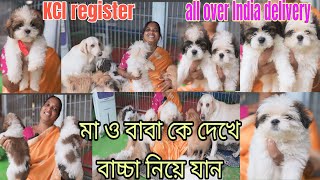 Home breed puppy sell lowest priceDOG market in kolkata home breed puppy sell in kolkata [upl. by Verger68]