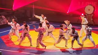 Awesome Taekwondo Demonstration 2023 Chuncheon  Power Breaking Kick [upl. by Ahsiekin621]