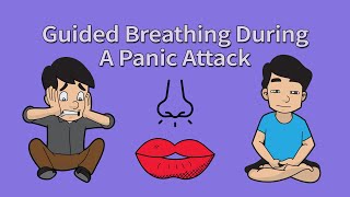 Guided Breathing Exercise Meditation Panic Attacks amp Anxiety [upl. by Stearne]