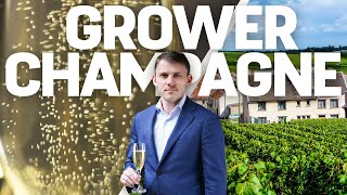 5 Champagne Producers To Know  Master of Wine Recommendations [upl. by Oirromed]