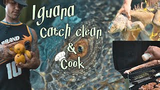 Eating More Floridas Invasive Species  Iguana Catch Clean amp Cook [upl. by Eimas]