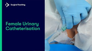 Female Urinary Catheterisation  Everything You Need To Know To Perform This Essential Skill [upl. by Ferri]