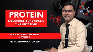 Protein Structures Functions Classification Levels and Types  Lecture 5  Dr Muhammad Naveed [upl. by Stauffer]