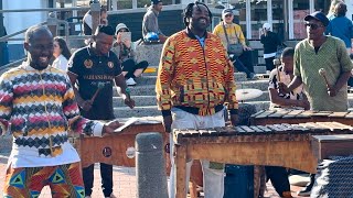 Musicians Spotted in South Africa Part 3 [upl. by Jahdai680]