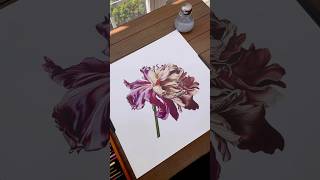 Colored Pencil Drawing of a Fading Flower drawing coloredpencils [upl. by Nnahsal752]