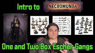 Building Escher Gangs for Under 100  Intro to Necromunda  Dome Runners TV [upl. by Kiyohara]