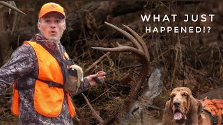 RECOVERING A GIANT 170 INCH OHIO WHITETAIL  Using A DOG To Find DEER [upl. by Lise935]