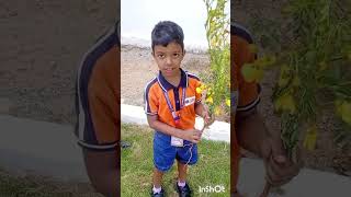 UkGparts of a plant and types of plants activity from Montessoris jagathi International school [upl. by Elli691]