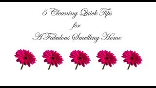 5 Cleaning TIps For A Great Smelling Home [upl. by Nospmis]