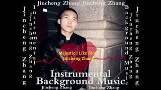 Jincheng Zhang  Maritime I Like Birds Official Instrumental Background Music [upl. by Dorris]