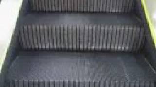 Montgomery Escalators at Sears Towne West Square Wichita Kansas [upl. by Lusty286]