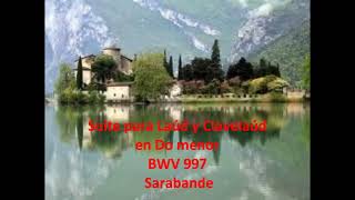 J S Bach  Suite para Laúd y Clavelaúd BWV 997  L Pianca y M Barchi [upl. by Strang]