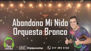 Abandono mi nido  Orquesta bronco djpipecastro [upl. by Attaymik]