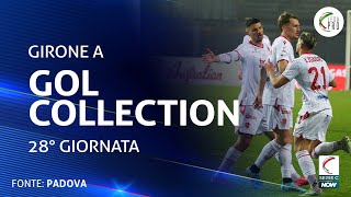 La Gol Collection della 28° giornata del Girone A [upl. by Netnerb]