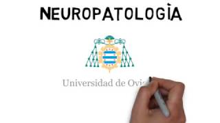 NEUROPATOLOGIA [upl. by Ggerk168]