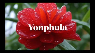 Yonphula karaoke female version with vocal [upl. by Elumas]