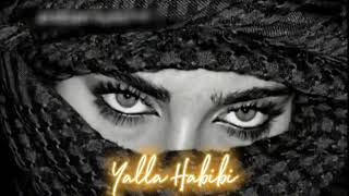 Yalla Habibi  Arabic Song  Slow and Reverb  trendingsong [upl. by Aynekat381]