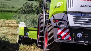 Claas Jaguar 950  Ensilage de Méteil [upl. by Nelly]