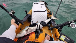 is the Hobie Pro Angler 14 kayak any good What to consider when buying a kayak [upl. by Astrea]