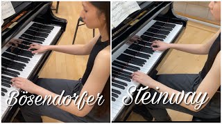 Bösendorfer and Steinway [upl. by Teirtza]