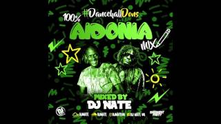 100 Aidonia Mix  Dancehall Dons DJNateUK [upl. by Nevetse]