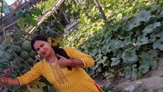 ReenaAnuragh हमारी live me आप सभी का most Welcome🎉🎉🎉🎉 [upl. by Sellihca427]