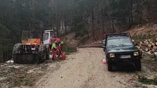 LKT 81 Turbo  Ťažba dreva s Marekom v daždi Stihl ms 500i a ms 400 v smreku [upl. by Ycrem177]