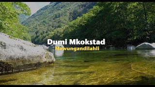 Dumi Mkokstad – Mawungandilahli Official Lyric Video [upl. by Lou]