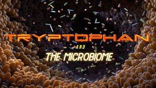 Tryptophan and the Microbiome [upl. by Cinda194]