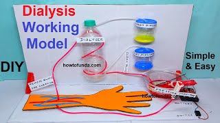 dialysis working model for science project exhibition  diy  simple and easy way  craftpiller [upl. by Ahkihs]