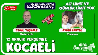 KOCAELİ  Canlı Yayın  Bariyer Dibi  12 Aralık 2024 Perşembe atyarisi [upl. by Boyt]