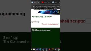 Run Linux Commands in a Web Browser 🎆📚 [upl. by Sterne]