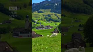 Switzerland city of Alps tourism 4k ll best place in Europeswissvillage shorts youtubeshorts [upl. by Yokoyama]