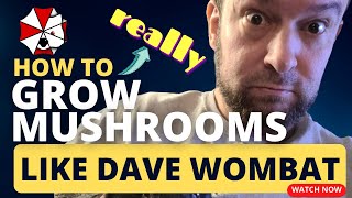 How To Really Grow Mushrooms like Dave Wombat 🍄 ✨ The mycoGeeky Podcast [upl. by Carolina]