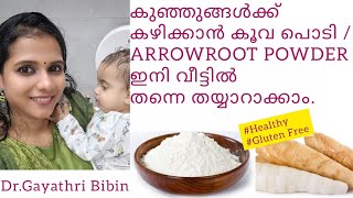 koova podi making malayalam കൂവ പൊടി Preparation  recipe ARROWROOT POWDER  Baby Food  Benefits [upl. by Ahsemad]