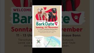 Finde Deinen neuen besten Freund beim Bark Date in Bonn 30 Tierschutzhunde auf RudelSuche 🐾🙌🐾❣️ [upl. by Assener]