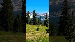 Traveling in California Tuolumne Meadows california travel meadows mountains mountainvalley [upl. by Nauq]