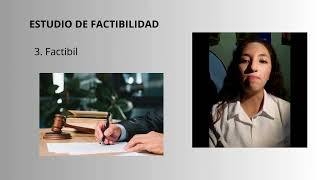 ESTUDIO DE FACTIBILIDAD [upl. by Seroka]