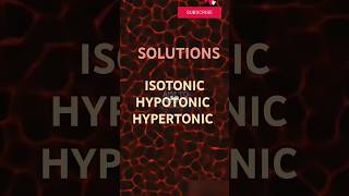 Types of solution isotonic hypotonic hypertonic solutions typesofsolution shorts shortsvideo [upl. by Yrffoeg]