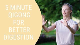 Qigong for Better Digestion  Qigong for Beginners  Easy Qigong Exercises [upl. by Athallia]