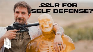 How Deadly Is A 22 Pistol 22 Pistol vs Human [upl. by Crain]