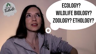 Which job is right for you Ecologist v Wildlife Biologist v Zoologist v Ethologist [upl. by Radu]