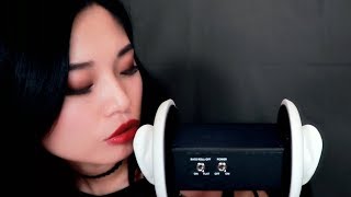 ASMR  3DIO Mouth Sounds No Talking [upl. by Proud]